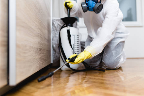 Best Pest Prevention Services  in Colwich, KS