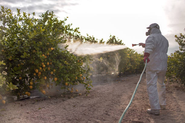 Best Affordable Pest Control Services  in Colwich, KS