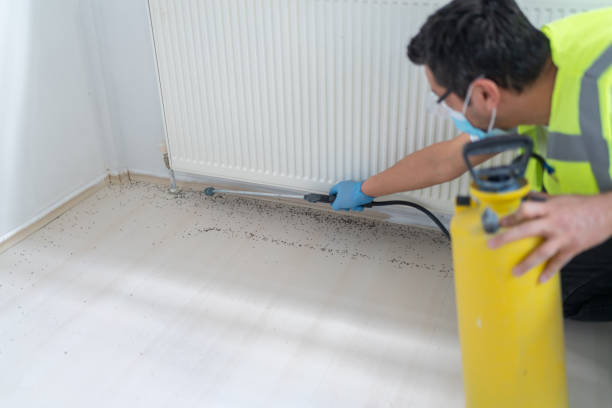 Best Best Pest Control Companies  in Colwich, KS